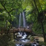 Wellness Tourism : Wisata Alam & Kesehatan di Solo-Karanganyar, Senangnya Dapat Sehatnya Dapat